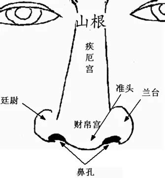 羅漢眉 面相|金自在相面秘訣——眉毛篇